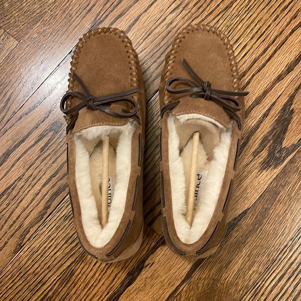 Brand new, never worn Quince authentic leather and shearling slippers size 7.